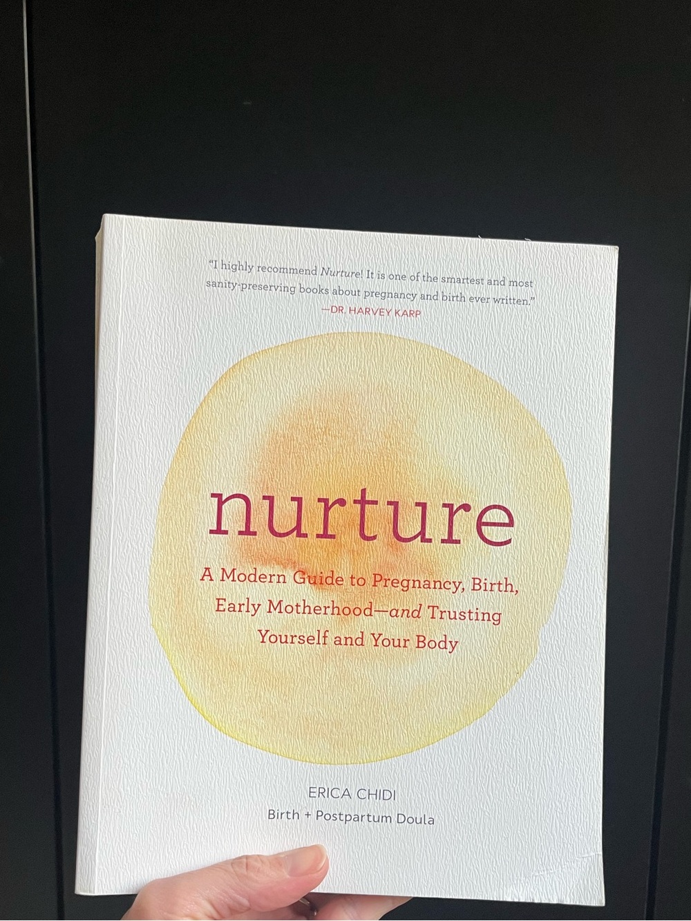 Nurture - a modern guide to pregnancy and motherhood guide book